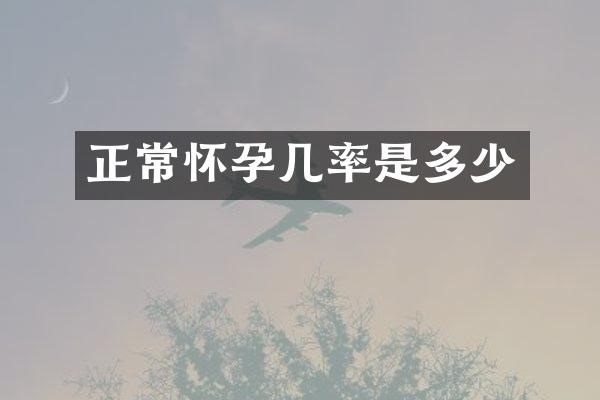 正常怀孕几率是多少