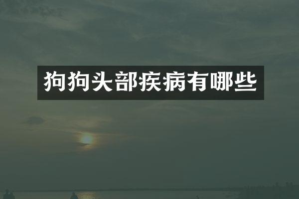 狗狗头部疾病有哪些
