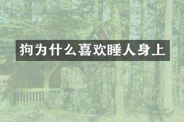 狗为什么喜欢睡人身上