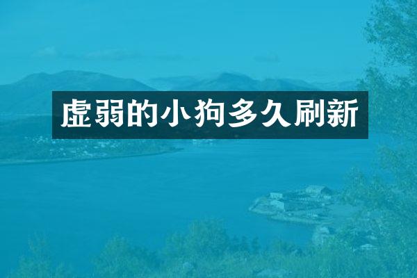 虚弱的小狗多久刷新