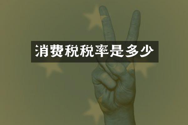 消费税税率是多少