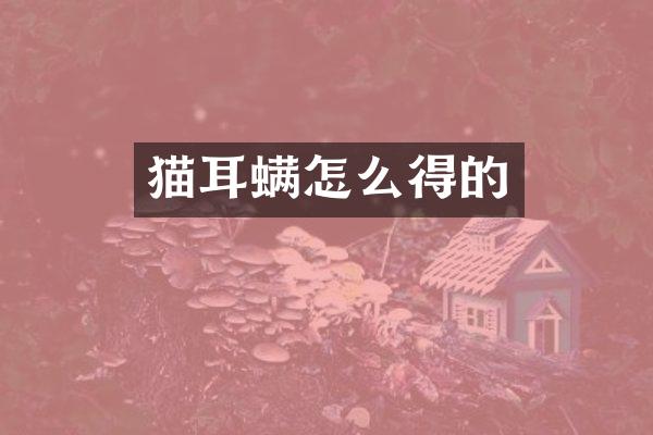 猫耳螨怎么得的