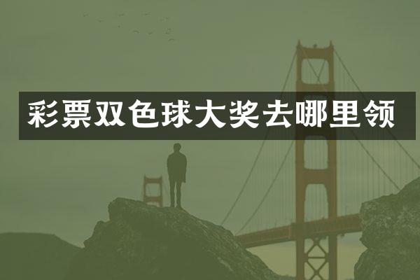 彩票双色球大奖去哪里领