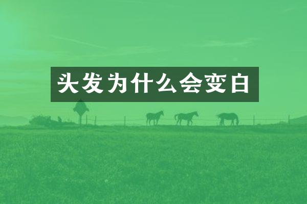 头发为什么会变白