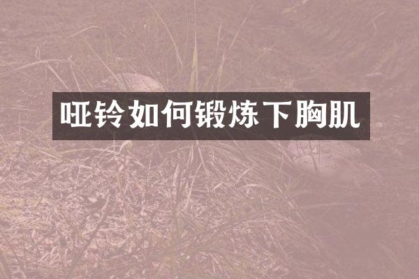 哑铃如何锻炼下胸肌