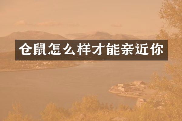 仓鼠怎么样才能亲近你