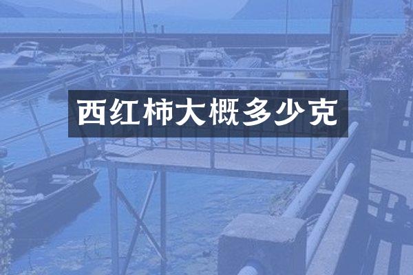 西红柿大概多少克