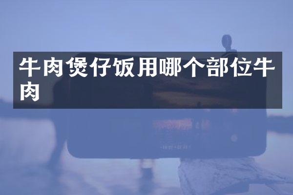 牛肉煲仔饭用哪个部位牛肉