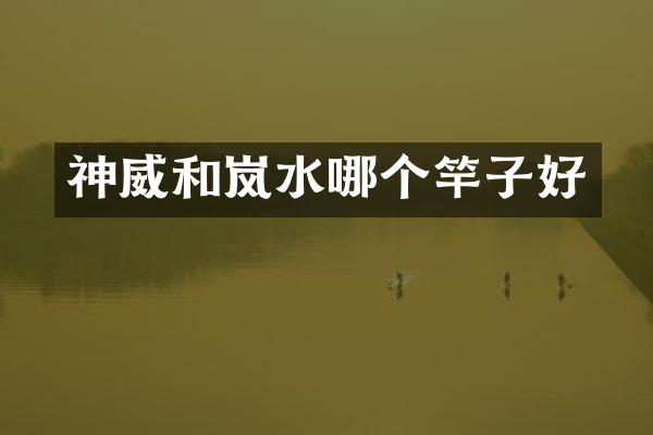 神威和岚水哪个竿子好