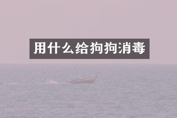 用什么给狗狗消毒