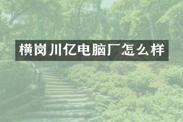 横岗川亿电脑厂怎么样