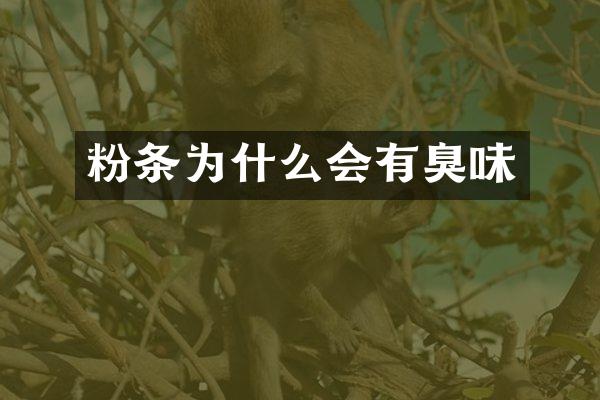 粉条为什么会有臭味