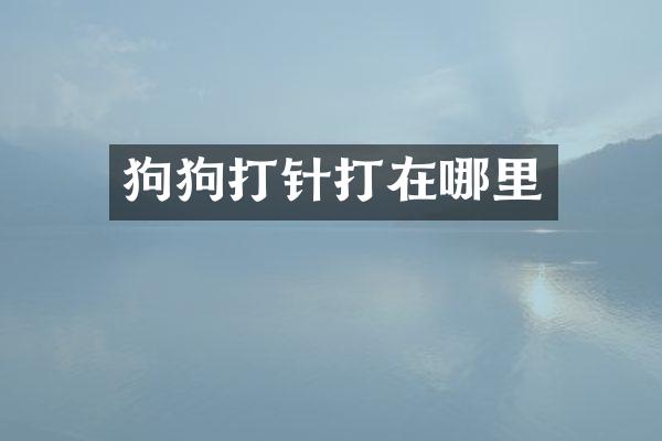 狗狗打针打在哪里