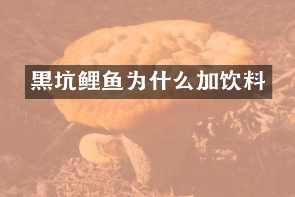 黑坑鲤鱼为什么加饮料