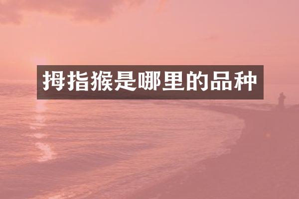 拇指猴是哪里的品种