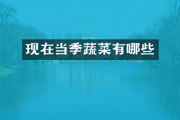 现在当季蔬菜有哪些