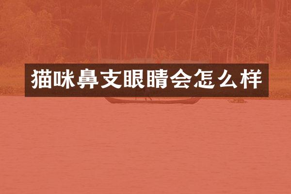 猫咪鼻支眼睛会怎么样