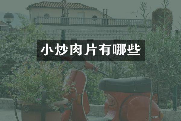 小炒肉片有哪些