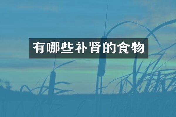 有哪些补肾的食物