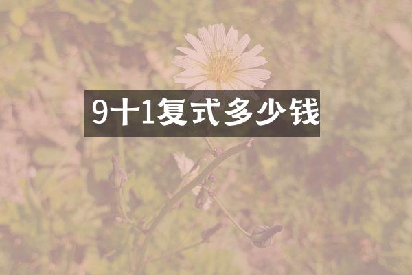 9十1复式多少钱