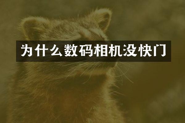 为什么数码相机没快门
