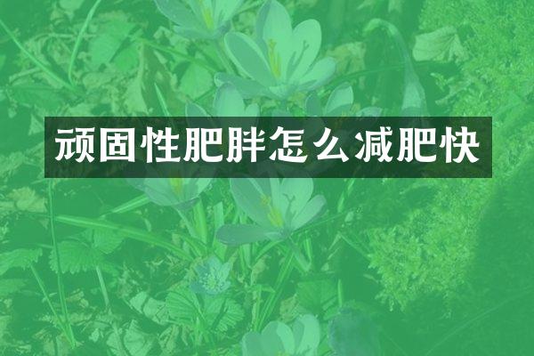 顽固性肥胖怎么减肥快