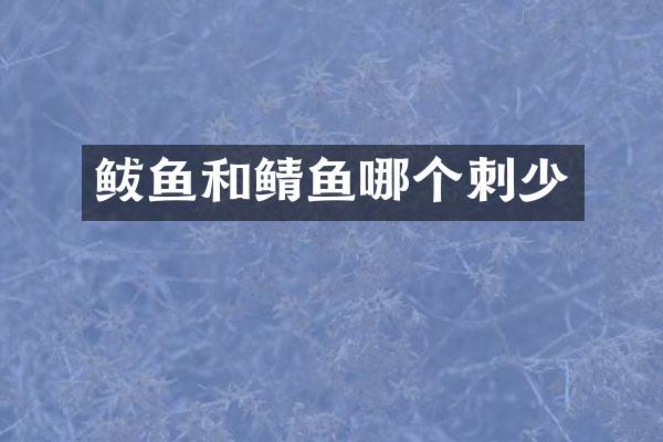 鲅鱼和鲭鱼哪个刺少