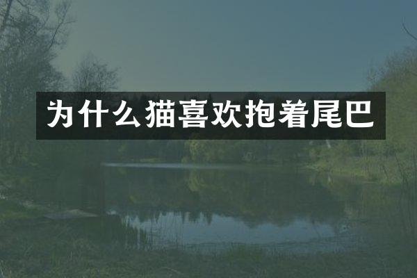 为什么猫喜欢抱着尾巴
