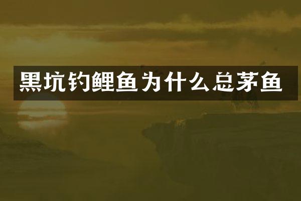 黑坑钓鲤鱼为什么总茅鱼