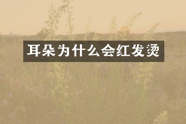 耳朵为什么会红发烫