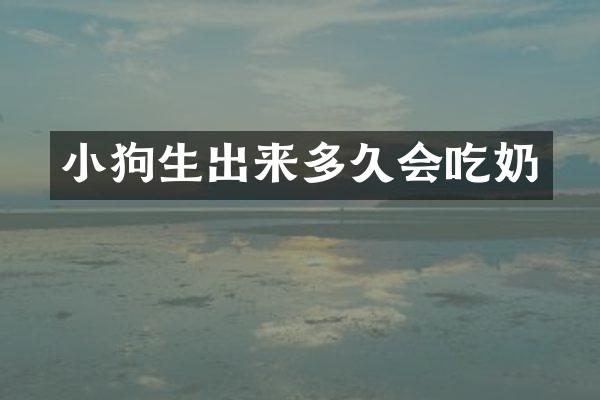 小狗生出来多久会吃奶