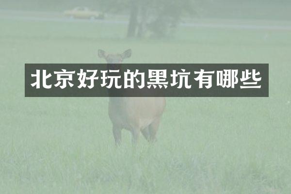 北京好玩的黑坑有哪些
