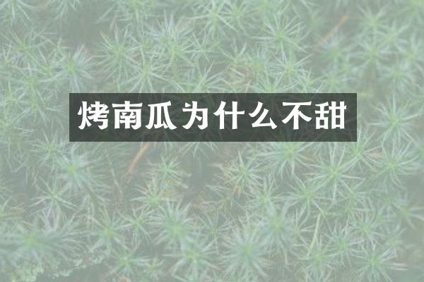 烤南瓜为什么不甜