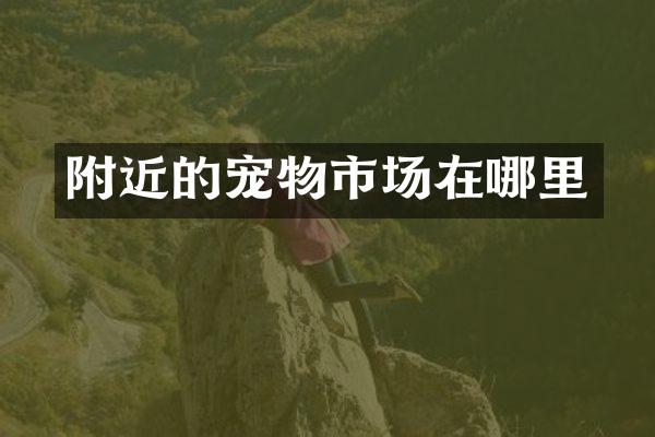 附近的宠物市场在哪里