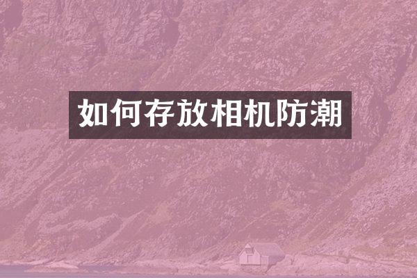 如何存放相机防潮