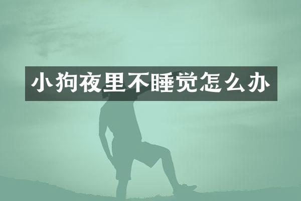 小狗夜里不睡觉怎么办