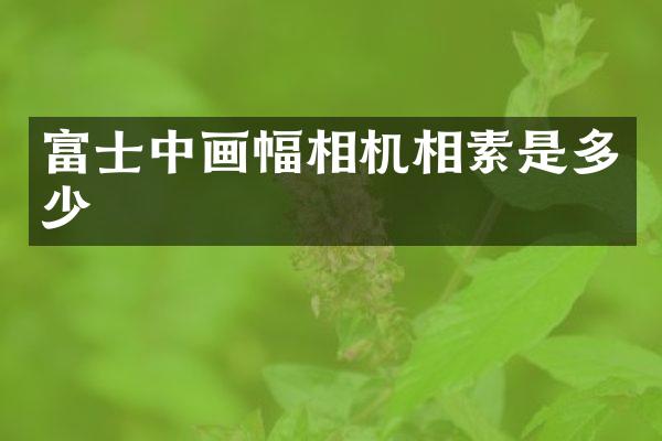 富士中画幅相机相素是多少