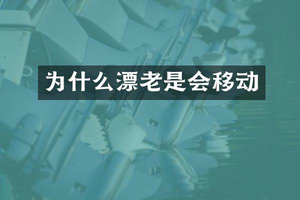 为什么漂老是会移动