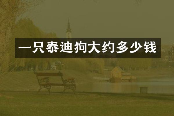 一只泰迪狗大约多少钱