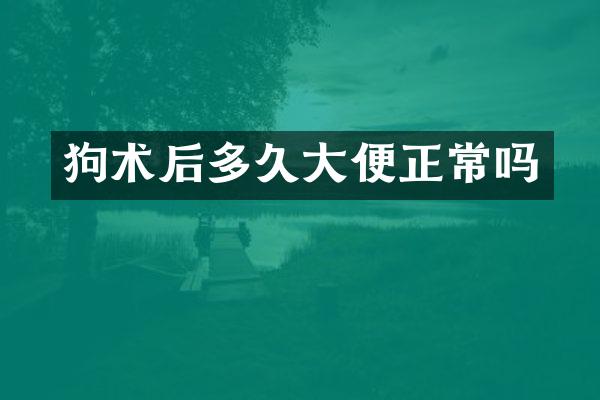 狗术后多久大便正常吗