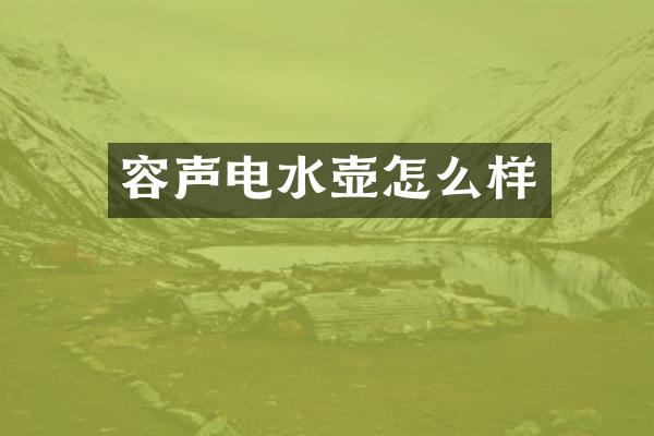 容声电水壶怎么样