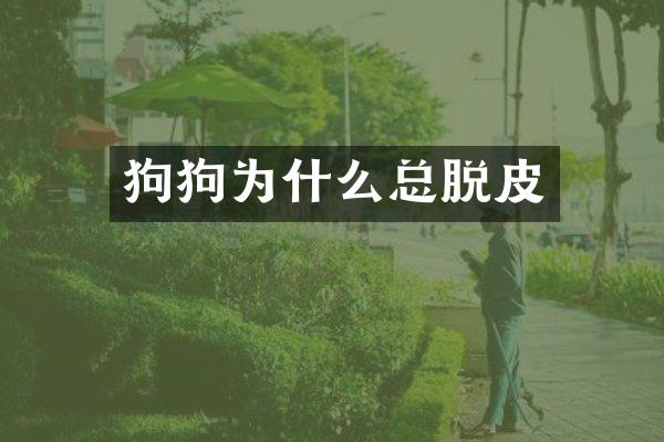 狗狗为什么总脱皮