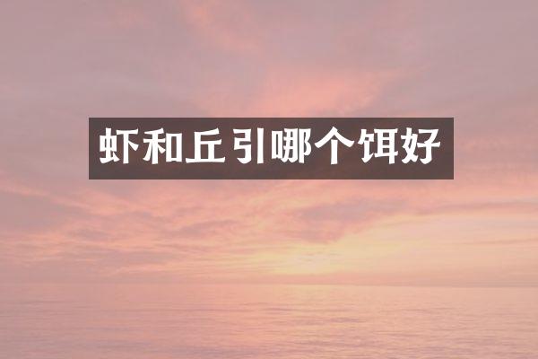 虾和丘引哪个饵好