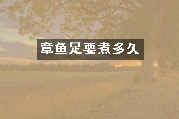 章鱼足要煮多久