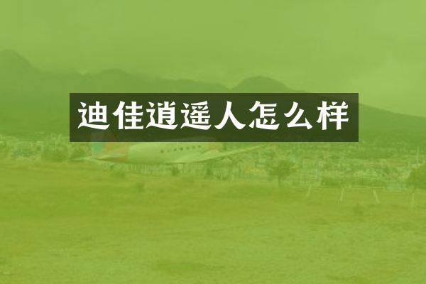 迪佳逍遥人怎么样