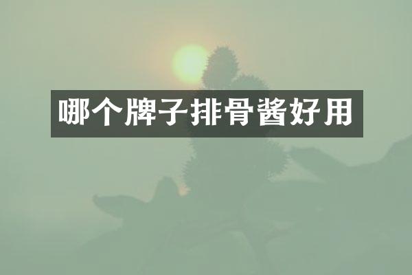 哪个牌子排骨酱好用