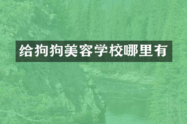 给狗狗美容学校哪里有