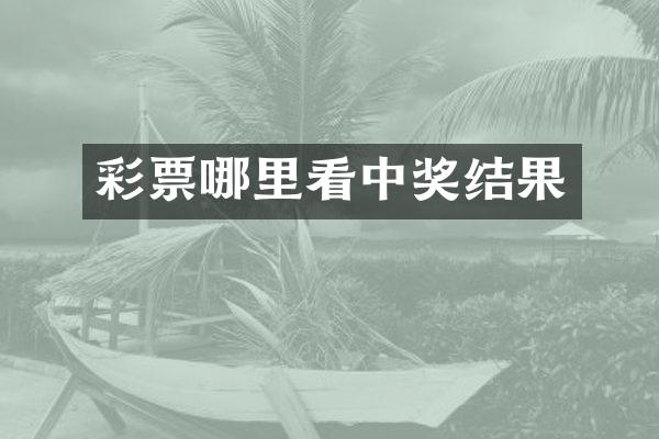 彩票哪里看中奖结果