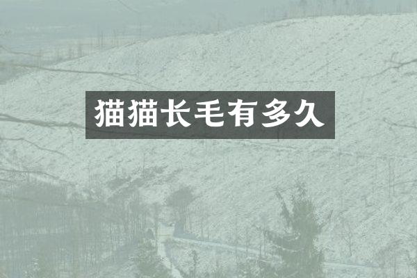 猫猫长毛有多久
