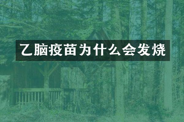 乙脑疫苗为什么会发烧